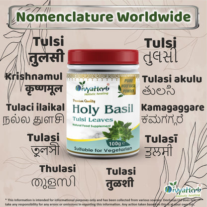 DivyaHerb Holy Basil Powder 100 gram - Seasonal Wellness Support