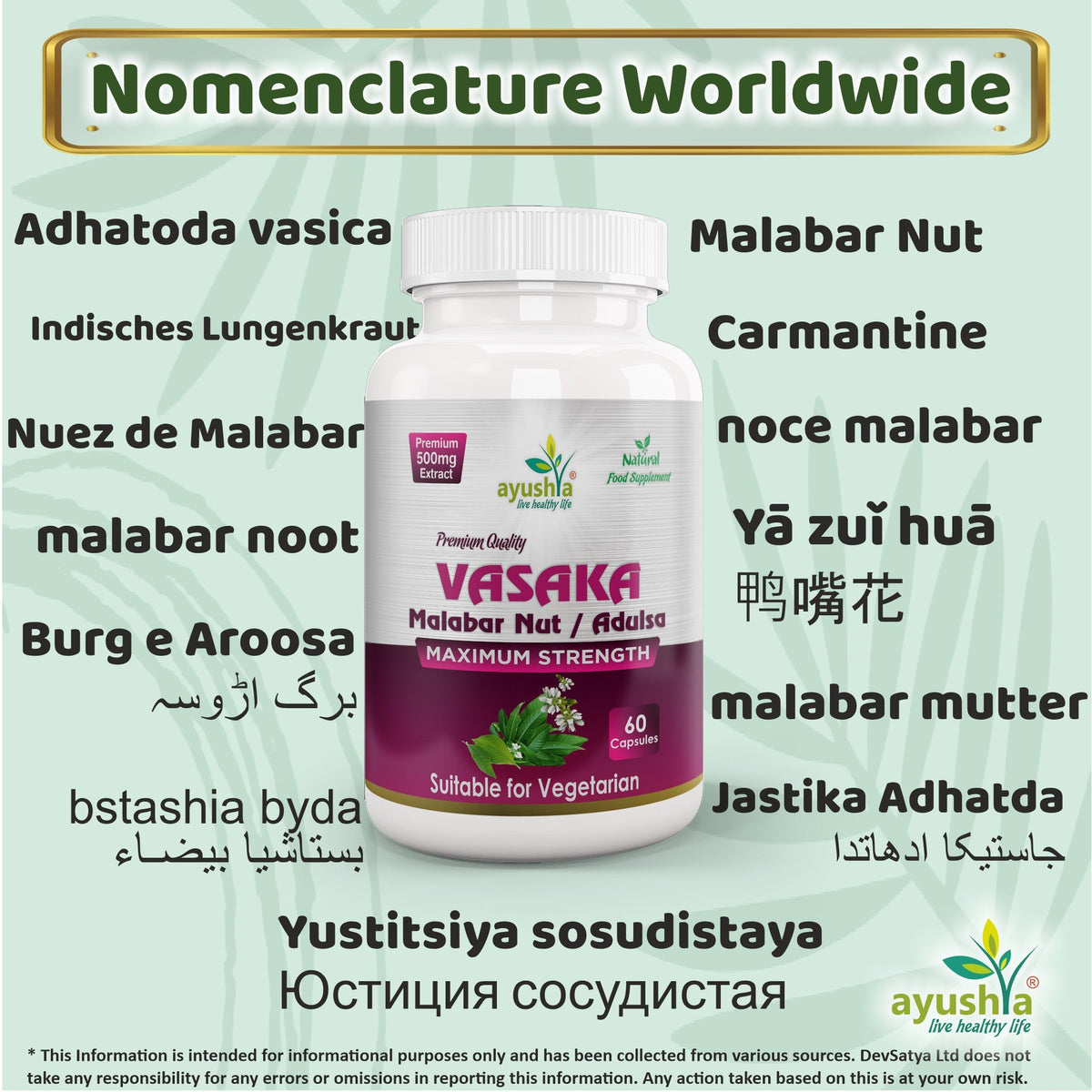 Ayushya Vasaka Capsules (Malabar Nut, Adulsa) Respiratory Comfort Support - Vegan, Gluten Free, Non-GMO, 60 Capsules