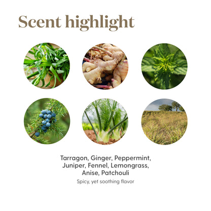 Vitality DiGize 5ml – Digestive Support | Young Living Essential Oils