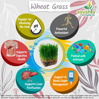 Ayushya Wheat Grass Capsules (Wheatgrass) Daily Greens & Antioxidant Support - Vegan, Gluten Free, Non-GMO, 60 Capsules