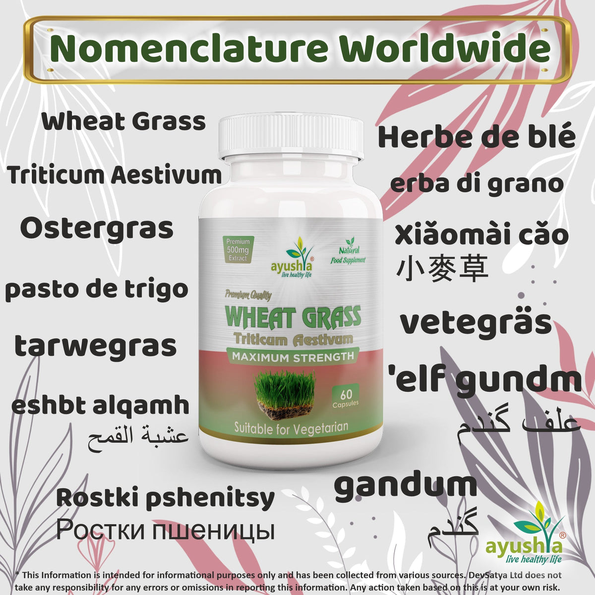 Ayushya Wheat Grass Capsules (Wheatgrass) Daily Greens & Antioxidant Support - Vegan, Gluten Free, Non-GMO, 60 Capsules