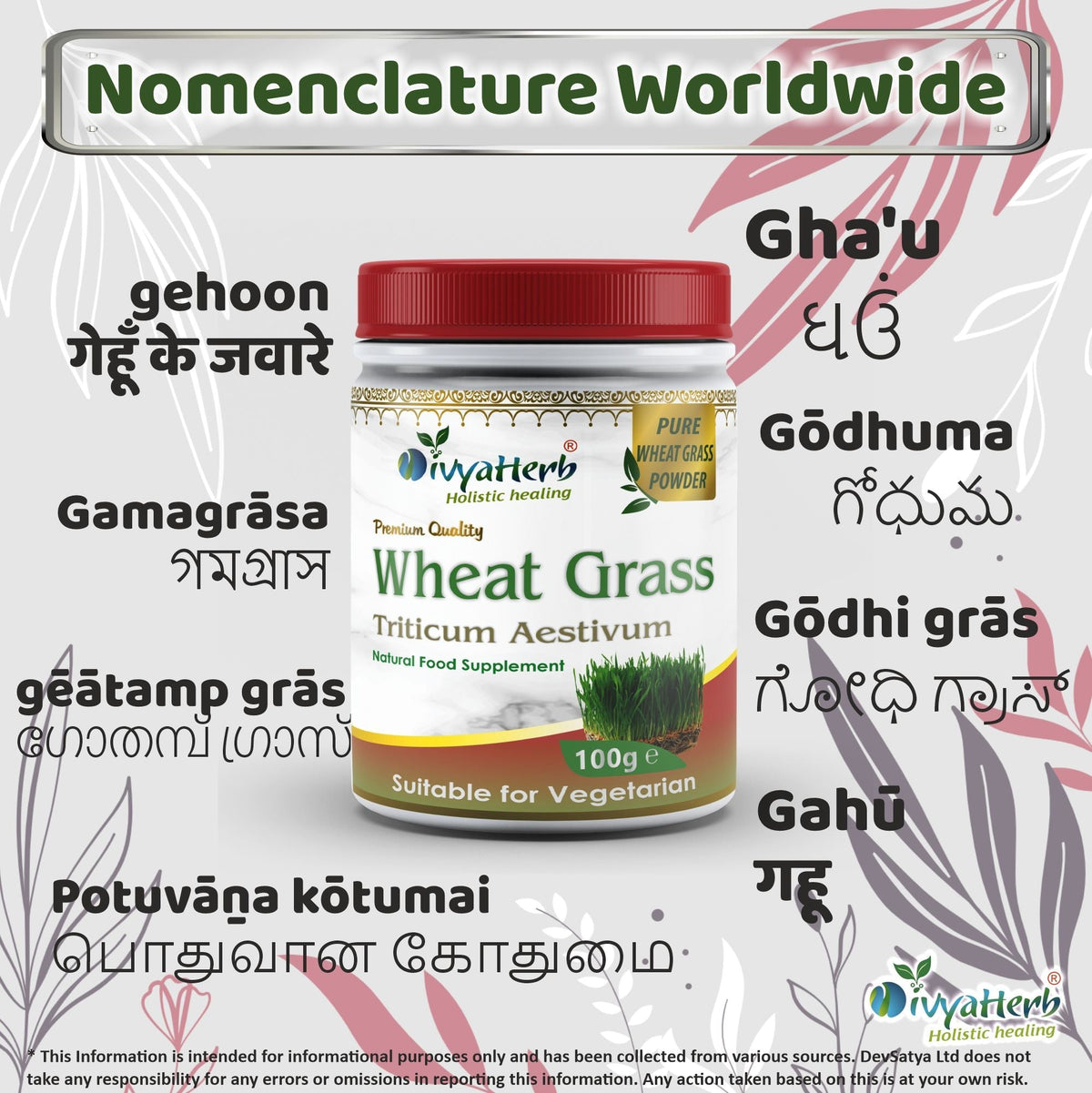 DivyaHerb Wheat Grass Powder 100 gram - Daily Vitality Support