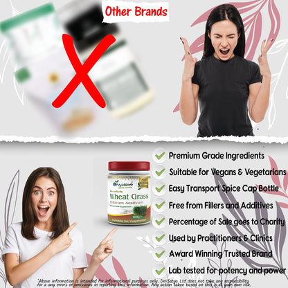 DivyaHerb Wheat Grass Powder 100 gram - Daily Vitality Support