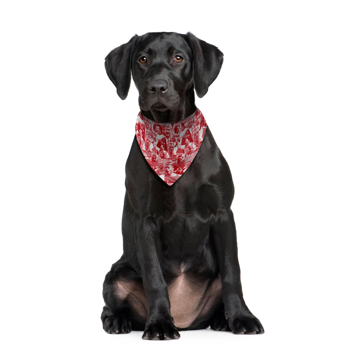 The Gooners Montage - Dog Bandana - 4 Sizes