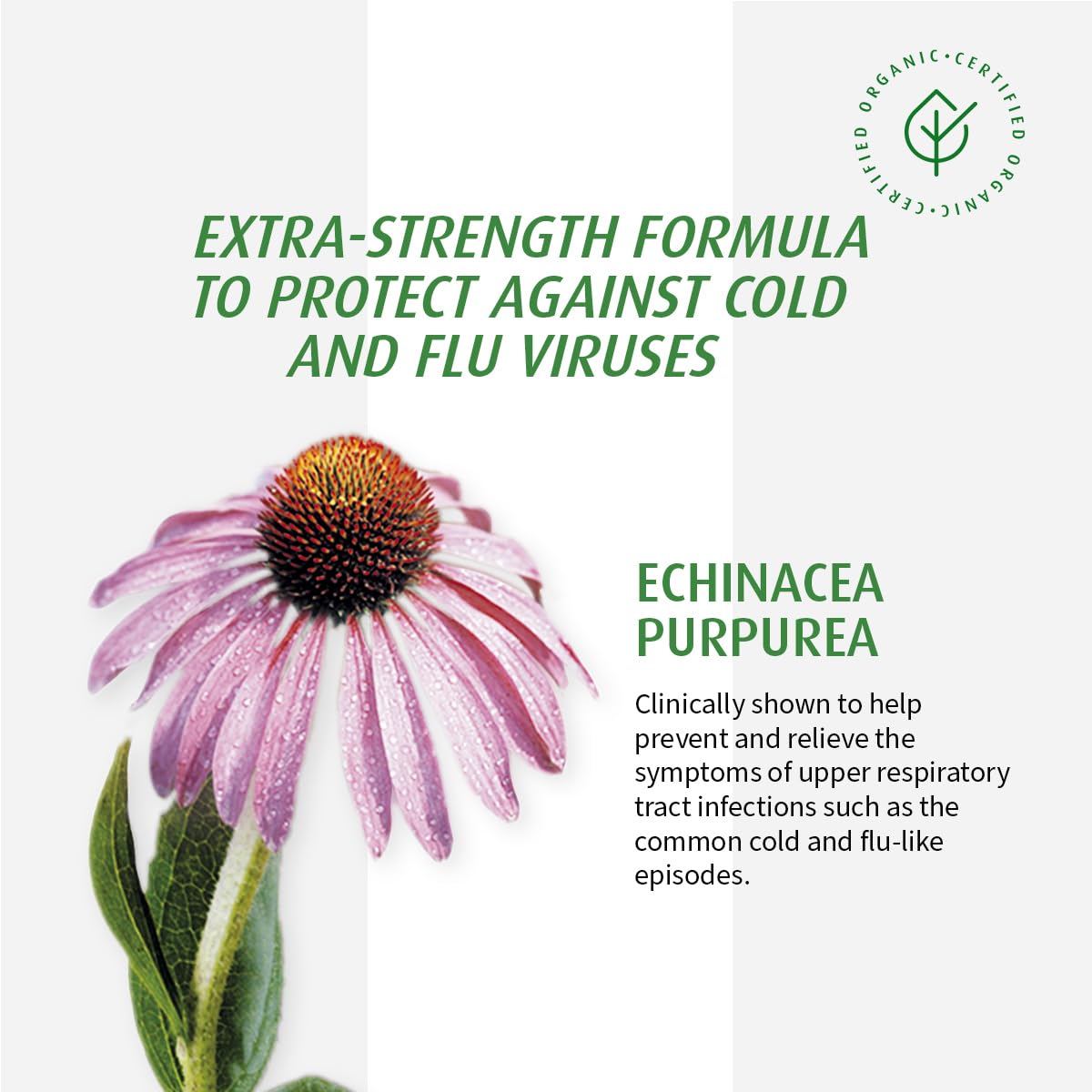 A.Vogel Echinaforce Extra Strength Echinacea Tablets 30 Ct – Immune Support