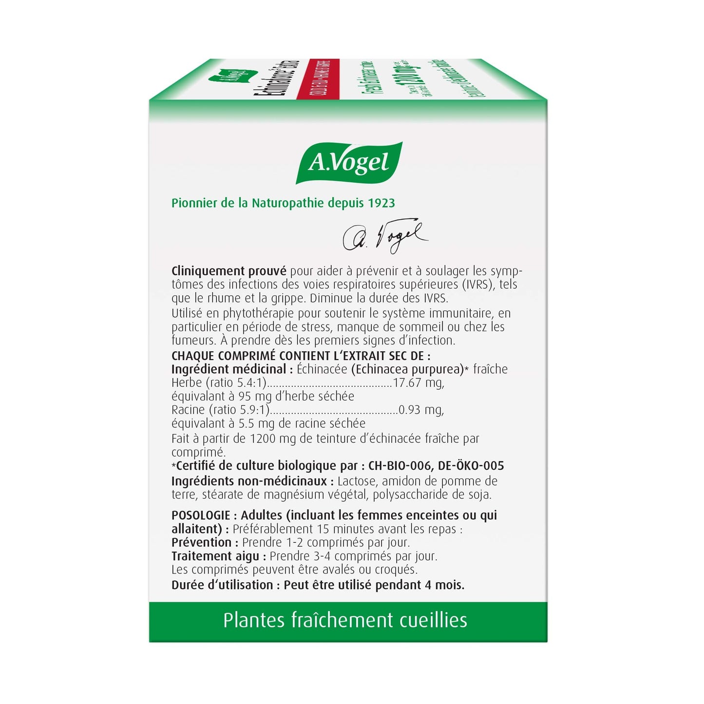 A.Vogel Echinaforce Extra Strength Echinacea Tablets 30 Ct – Immune Support