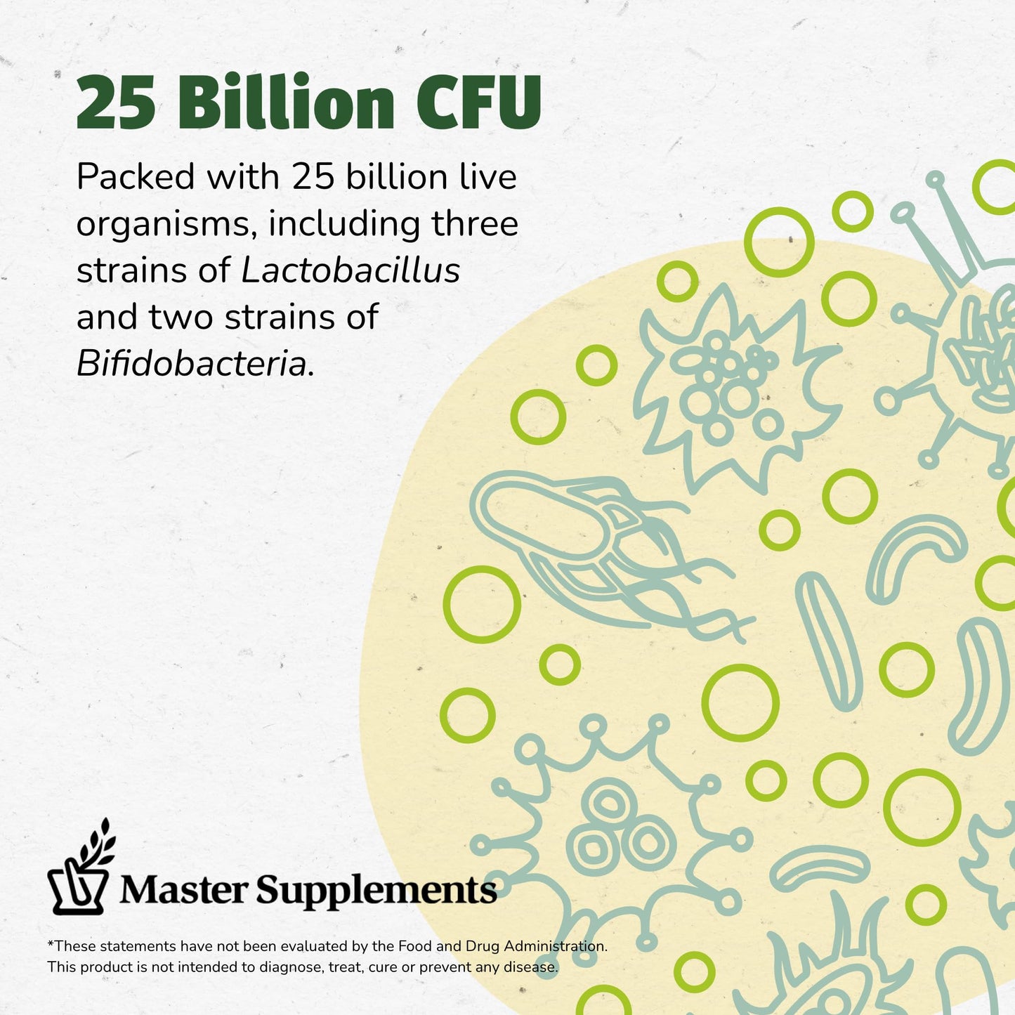 Master Supplements Granular Theralac Probiotic Powder – 25B CFU, 40 Servings, Vegan & Gluten Free