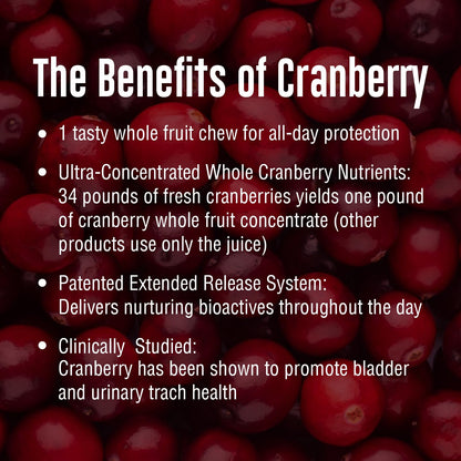 Enzymatic Therapy ActiFruit™ 20 Soft Chews Multi-Pack – Cranberry UTI Support