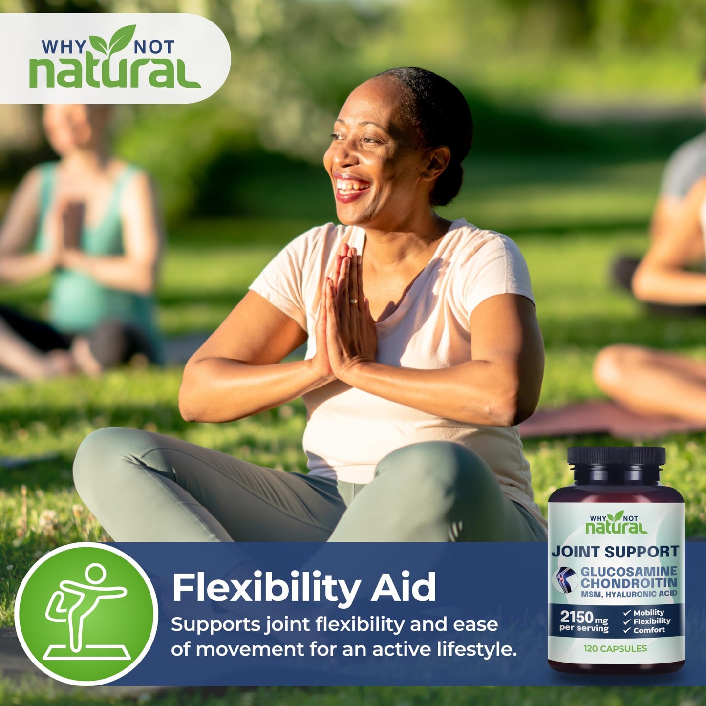 Why Not Natural Glucosamine Chondroitin, MSM, Joint Support Supplements | Knee Pain & Joint Health