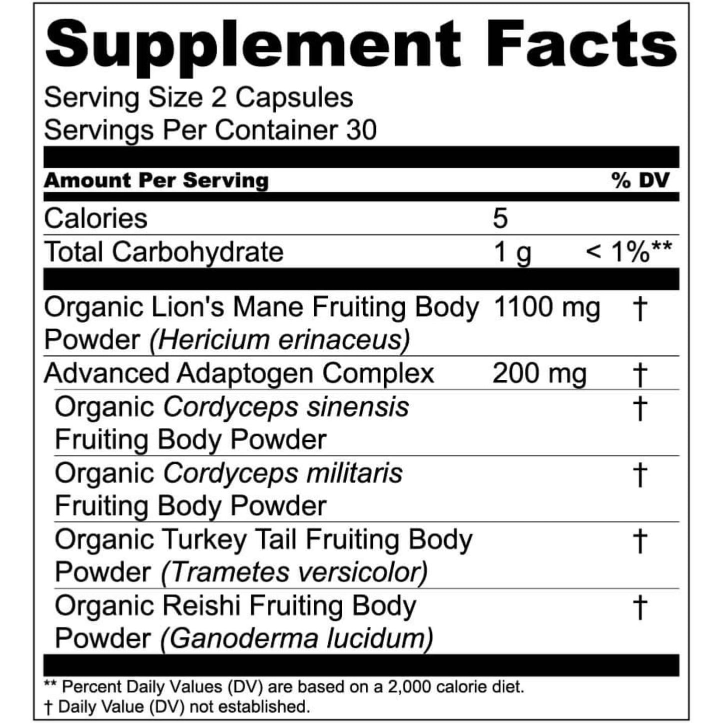 Live Conscious Lions Mane Mushroom Supplement Capsules for Brain Support - Lion's Mane, Cordyceps, Reishi & Turkey Tail