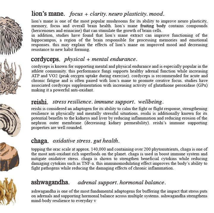 Adaptogen & Mushroom Cacao – Organic Cacao with Mushroom Extracts