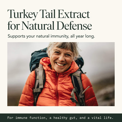Organic Turkey Tail Mushroom Capsules – Immune & Gut Health (120 Caps, Vegan)