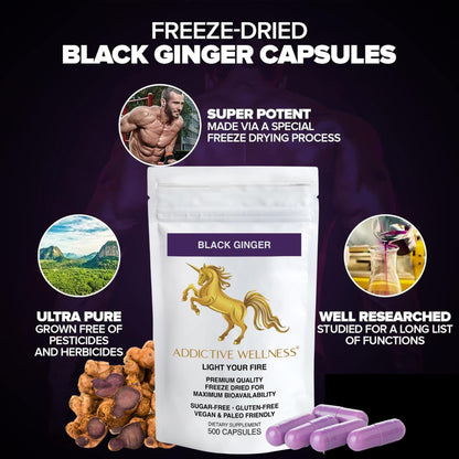 Addictive Wellness Black Ginger Capsules 450mg – Kaempferia Parviflora for Energy, Endurance & Metabolism | 500 Count