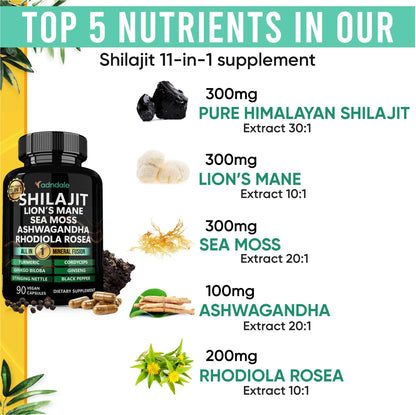 Adndale Shilajit Supplement - Pure Himalayan Shilajit 11-in-1, 90 Capsules