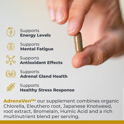 Premier Research Labs AdrenaVen 30 Servings – Adrenal Health Supplement | Supports Adrenal Gland Health & Stress Response – Organic Adrenal Health – 60 Plant-Source Capsules