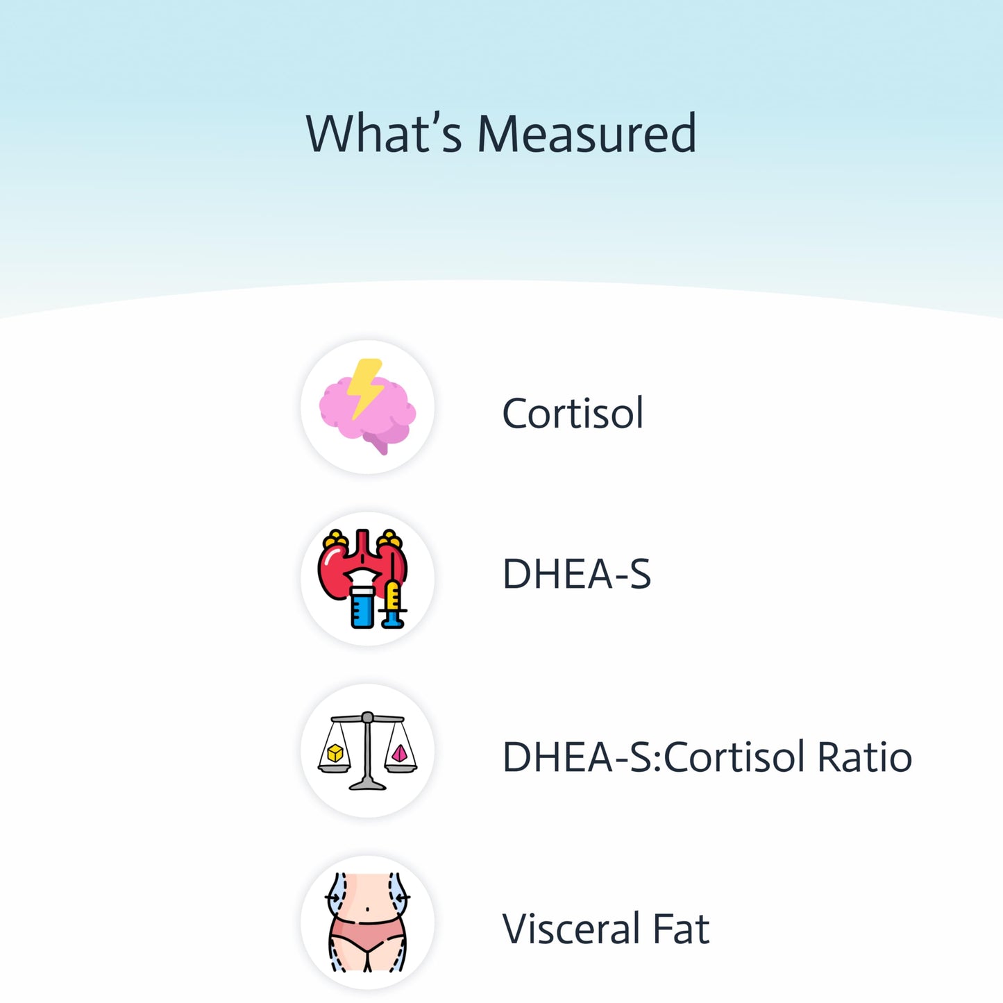 4-in-1 Cortisol & DHEA-S Adrenal Health Test | Sleep & Stress | Visceral Fat | CAP & CLIA Lab | Not Available in NY & RI