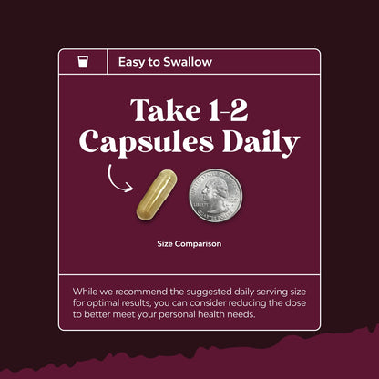 Advanced Kidney Support - Cranberry, Uva Ursi & Astragalus | 60 Capsules