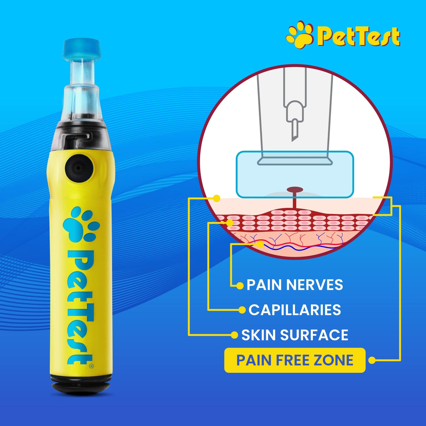 Advocate PetTest Painless Glucose Monitoring Kit for Dogs & Cats