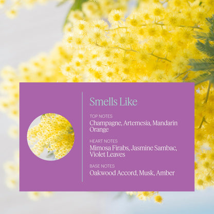 Aera Mini Destinations Paris – Essential Oil for Home (Floral, Champagne & Macarons) | Capsule Diffuser