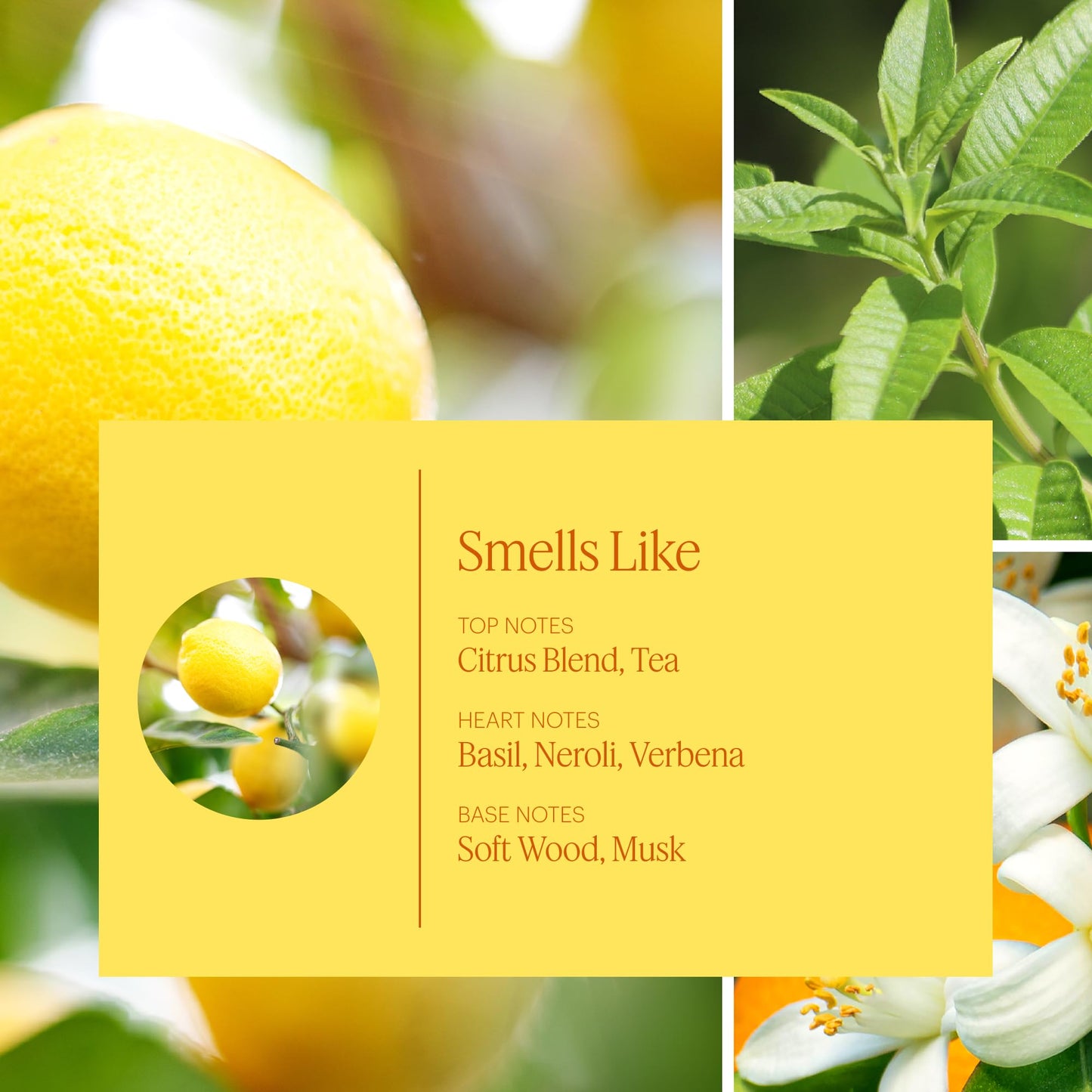 Aera Mini Lemon Neroli Refill – Orange Blossom & Sunshine Notes for The Aera Mini Diffuser