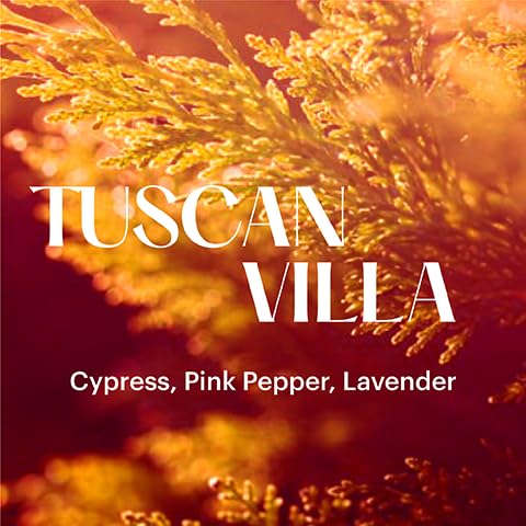 Aera Tuscan Villa Scent Refill – Apartment Therapy Limited Edition | Grapefruit, Pepper Seed, Lavandin & Cypress