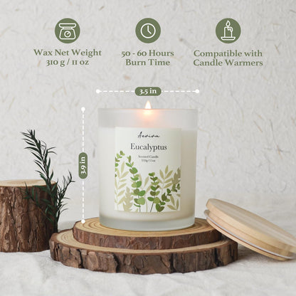 Aeviva Eucalyptus Scented Candle 11oz - 60 Hour Burn, Natural Soy Wax