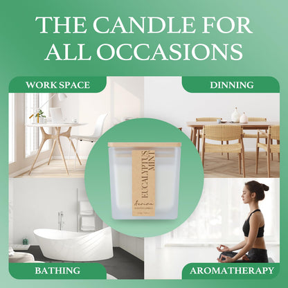 Aeviva Eucalyptus Mint Scented Candle – 7.04oz, 40 Hour Burn, Natural Soy Wax, Wood Wick