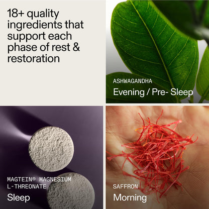 AG1 AGZ Sleep Drink Sampler – Melatonin-Free Nighttime Sleep Support (3-Serving Flavor Pack) | Athletic Greens