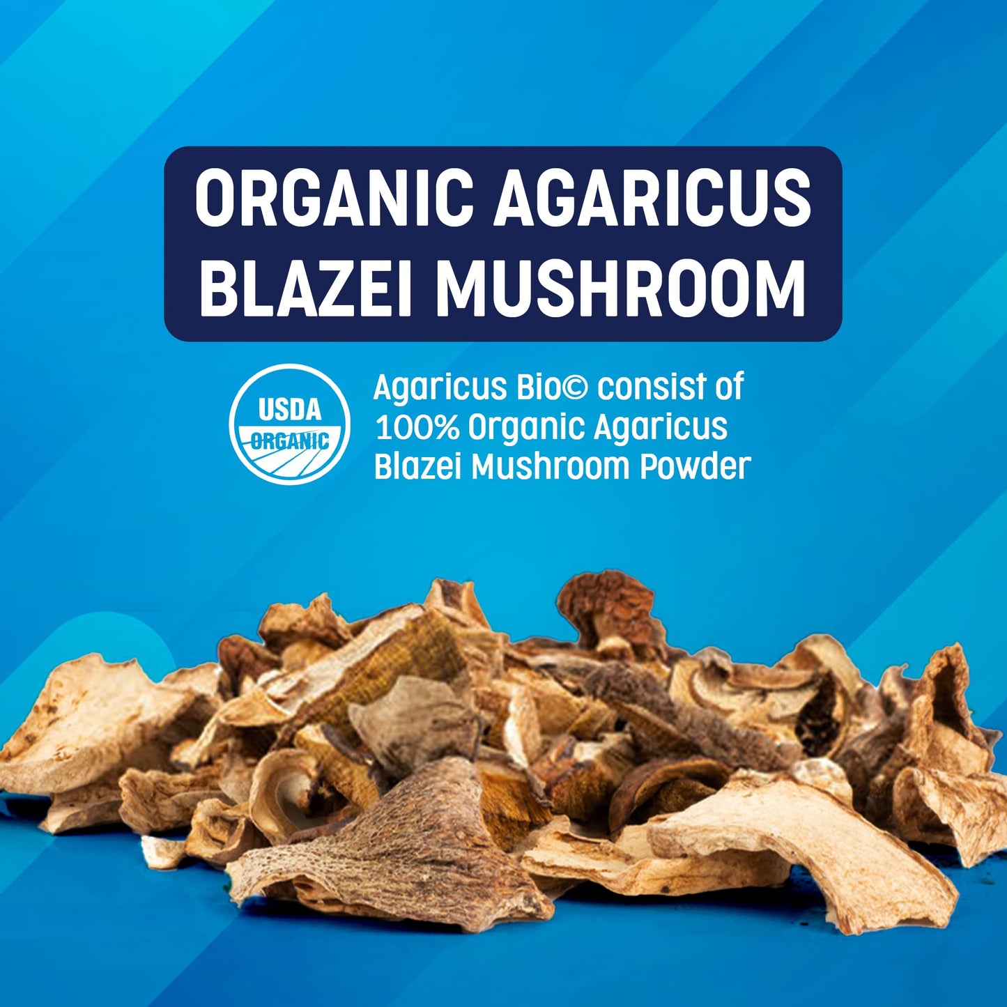 Agaricus Bio 600 mg - USA-Grown Organic ABM Mushroom for Immune Support