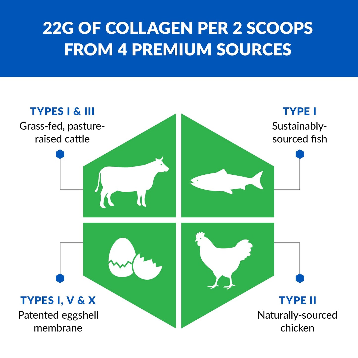 BioTrust Ageless Multi Collagen Peptides Powder – 5 Types I-V-X - Vanilla