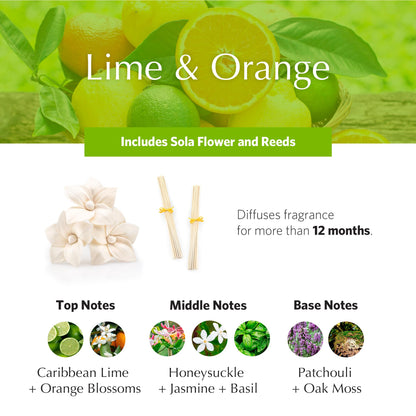 AGRARIA AirEssence Flower and Reed Diffuser Set – Handmade Sola Flower Home Fragrance