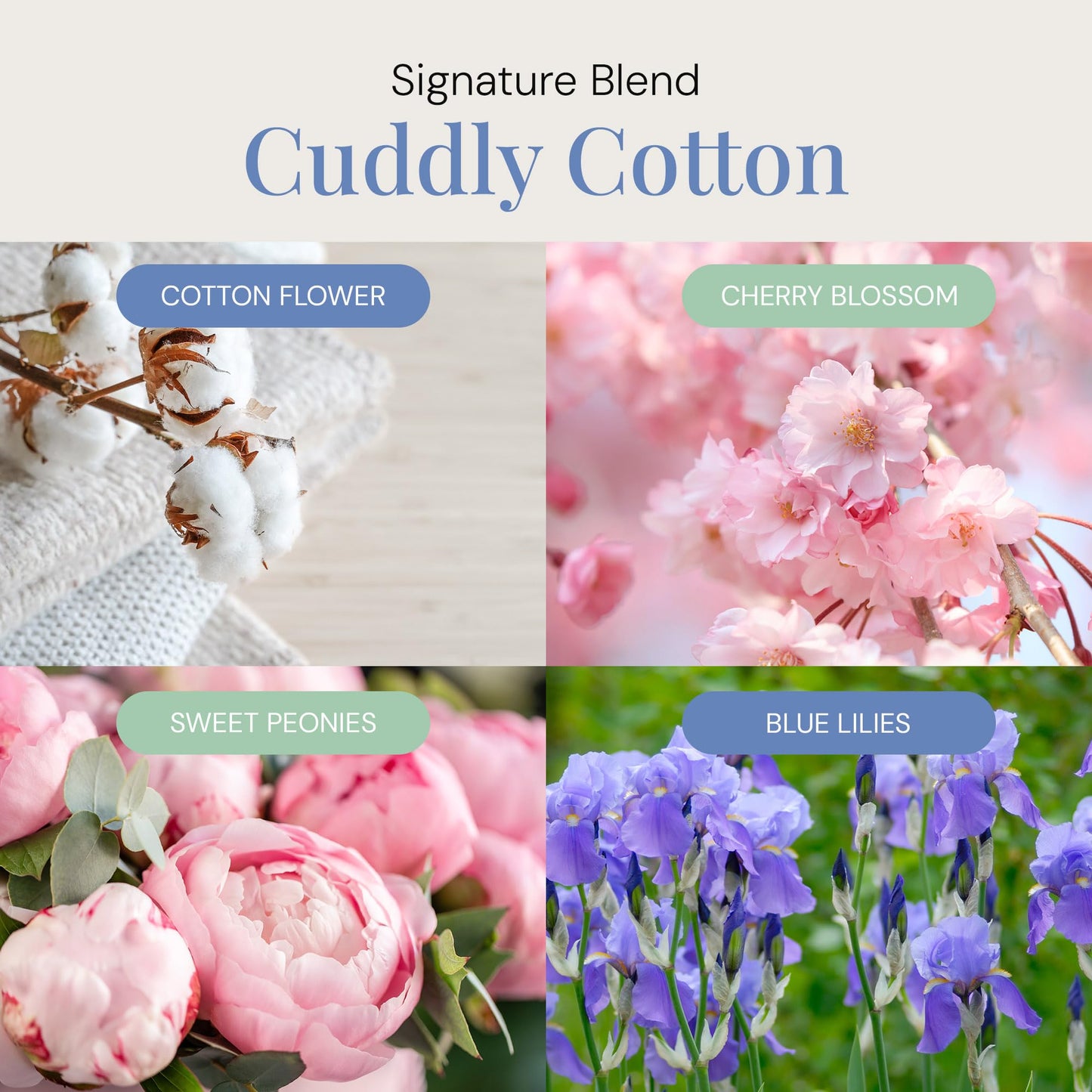 Air Esscentials Cuddly Cotton Aroma Oil – Pet-Safe Diffuser Blend (100mL)