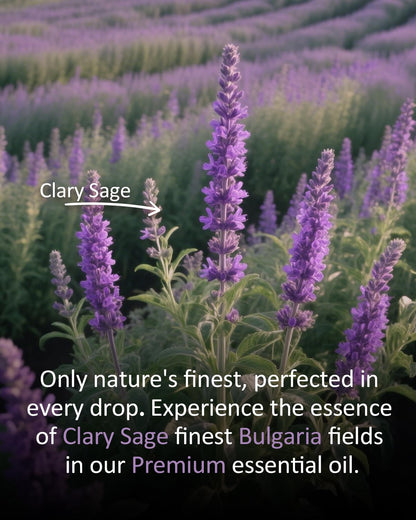 Airoomoil Pure Clary Sage Essential Oil – 4 oz (120 ml), 100% Natural, Premium Grade