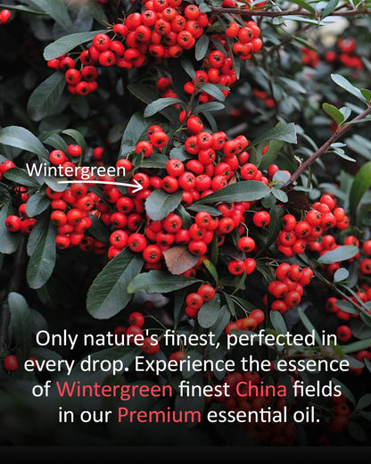 Airoomoil Wintergreen Essential Oil - 100% Natural, 4oz/120ml