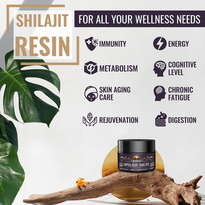 Ajoblanco 600mg Himalayan Shilajit Resin – Organic Ayurvedic Blend, Pack of 2 for Energy & Immunity