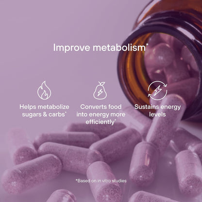 Akkermansia Probiotic – GLP-1 Boost & Metabolism | 60 Capsules