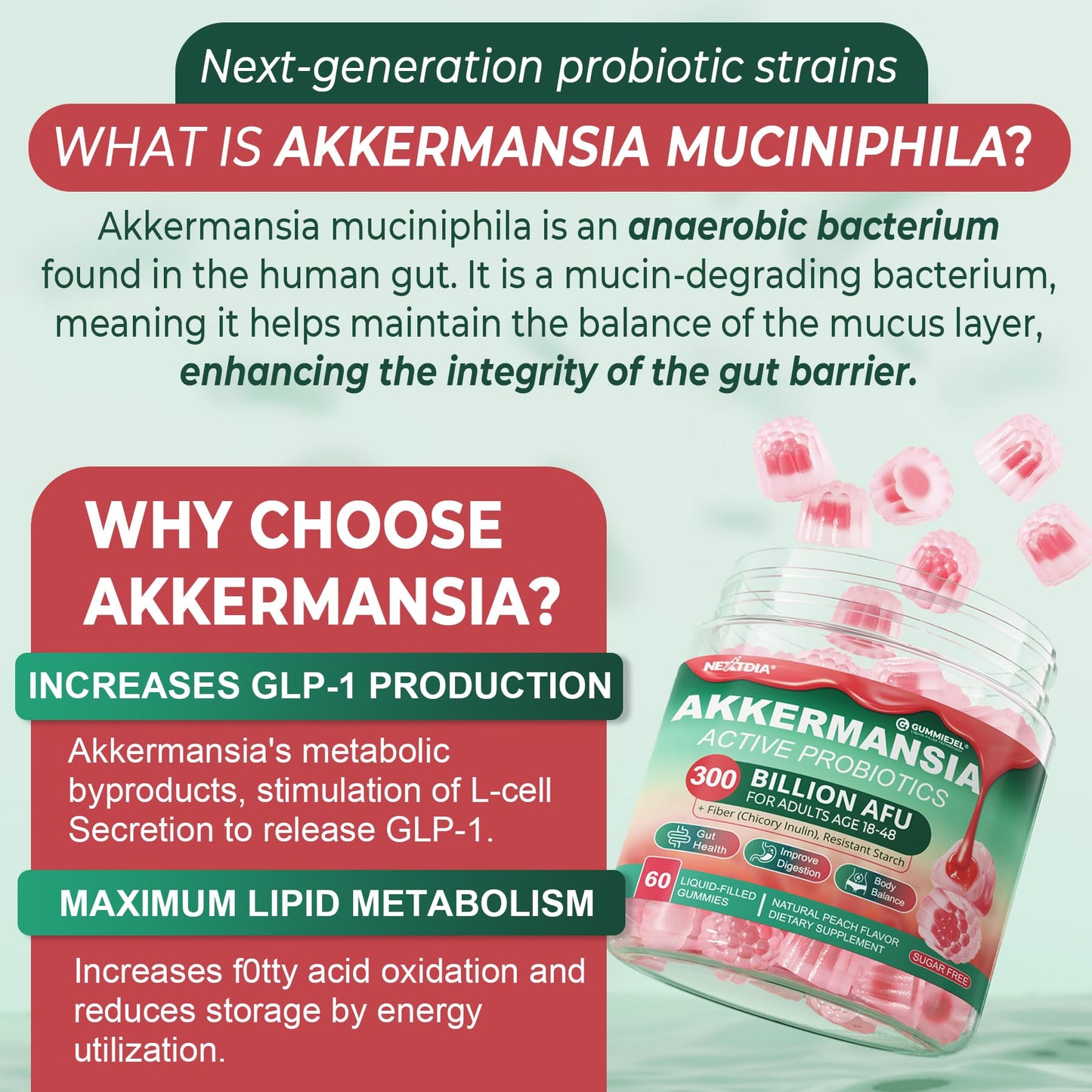 Akkermansia Probiotics Gummies with Prebiotics Fiber | 300 Billion AFU | Gut Health & Metabolism