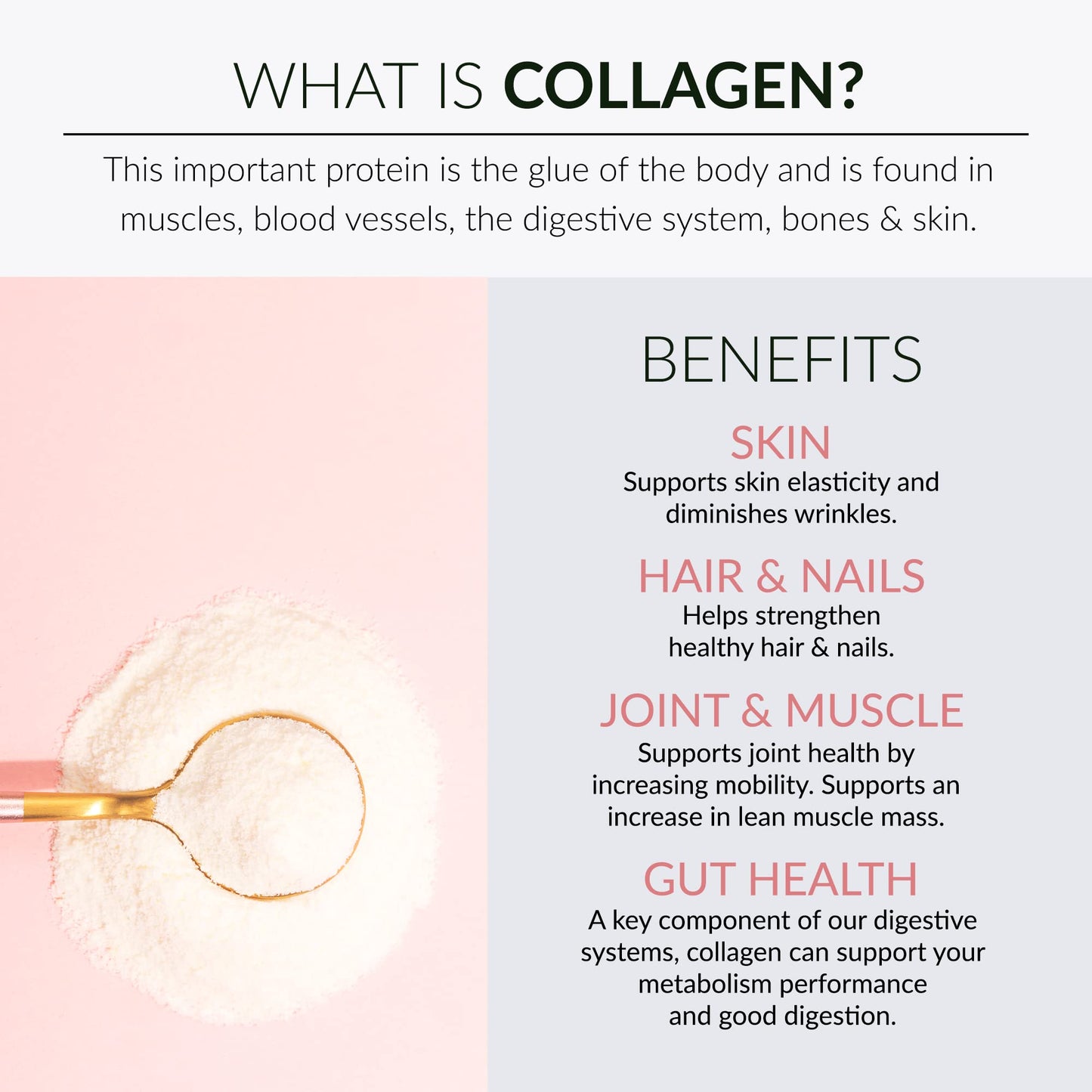 Alaya Naturals Multi Collagen Powder – Raspberry Lemonade (Type I-X)