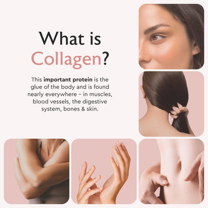 Alaya Naturals Hydrolyzed Multi Collagen Capsules – 120 Count | Grass-Fed, Marine & Chicken Sources