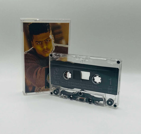 Al B. Sure (In Effect Mode)