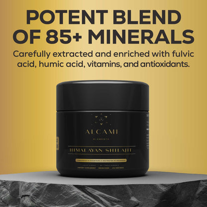 Alcami Premium Himalayan Shilajit Resin – High Potency 50g (100 Servings)