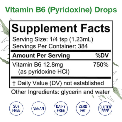 Vitamin B6 Drops (Pyridoxine) – Liquid B Vitamin for Brain & Immune Support (Alcohol-Free, 16 oz)