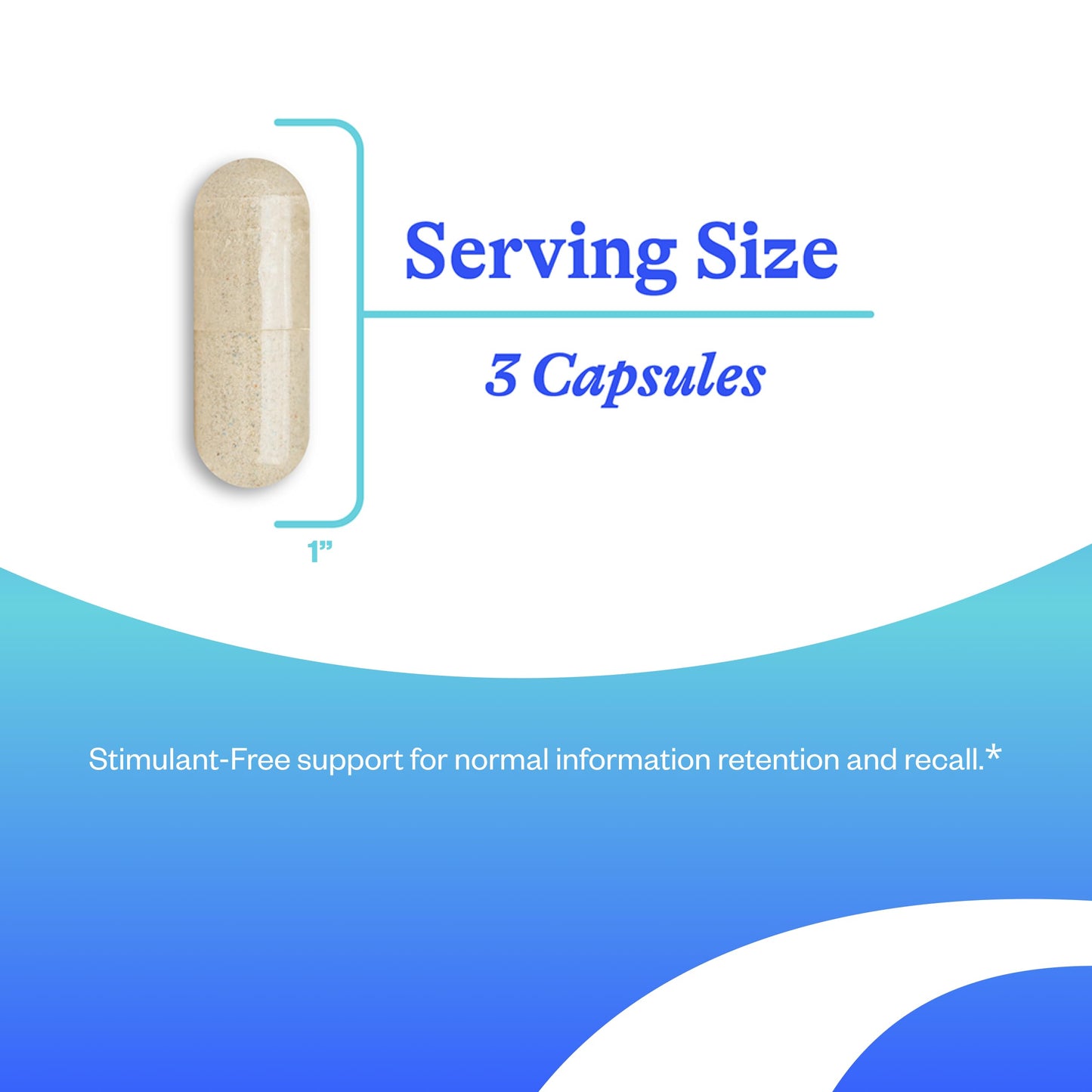 Seeking Health Optimal Focus - Stimulant-Free Nootropic with Choline & Algae DHA (90 Capsules)