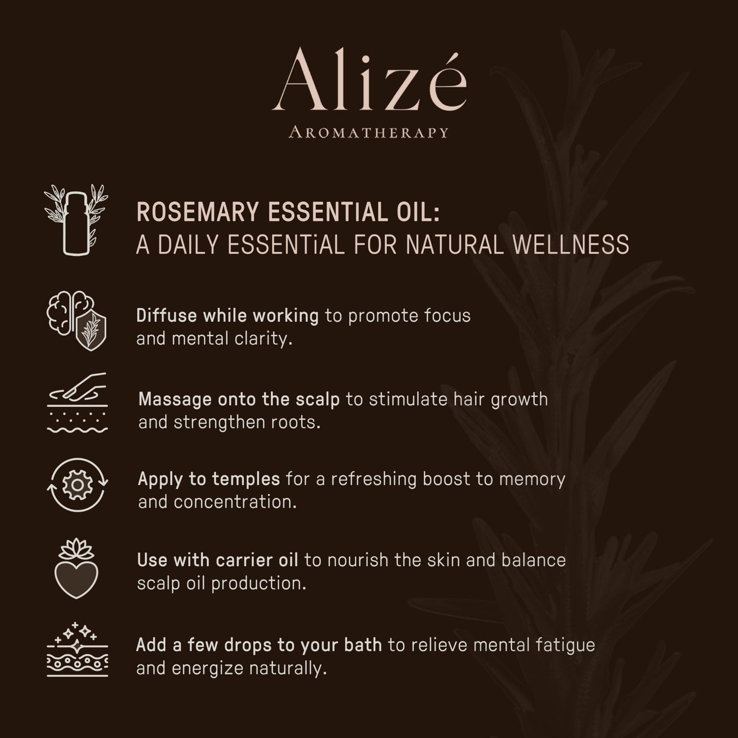 Alizé Aromatherapy Rosemary Essential Oil – USDA Organic, 10ml