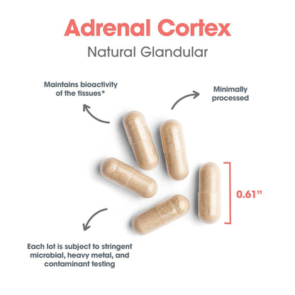 Allergy Research Group Adrenal Cortex Support - Adrenal Glandular Supplement, Immune Function, 100mg Adrenal Extract, Bovine - 100 Count