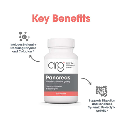 Allergy Research Group Pancreas Pork Supplement – Pancreas Glandular Enzymes, 425mg, 60 Count