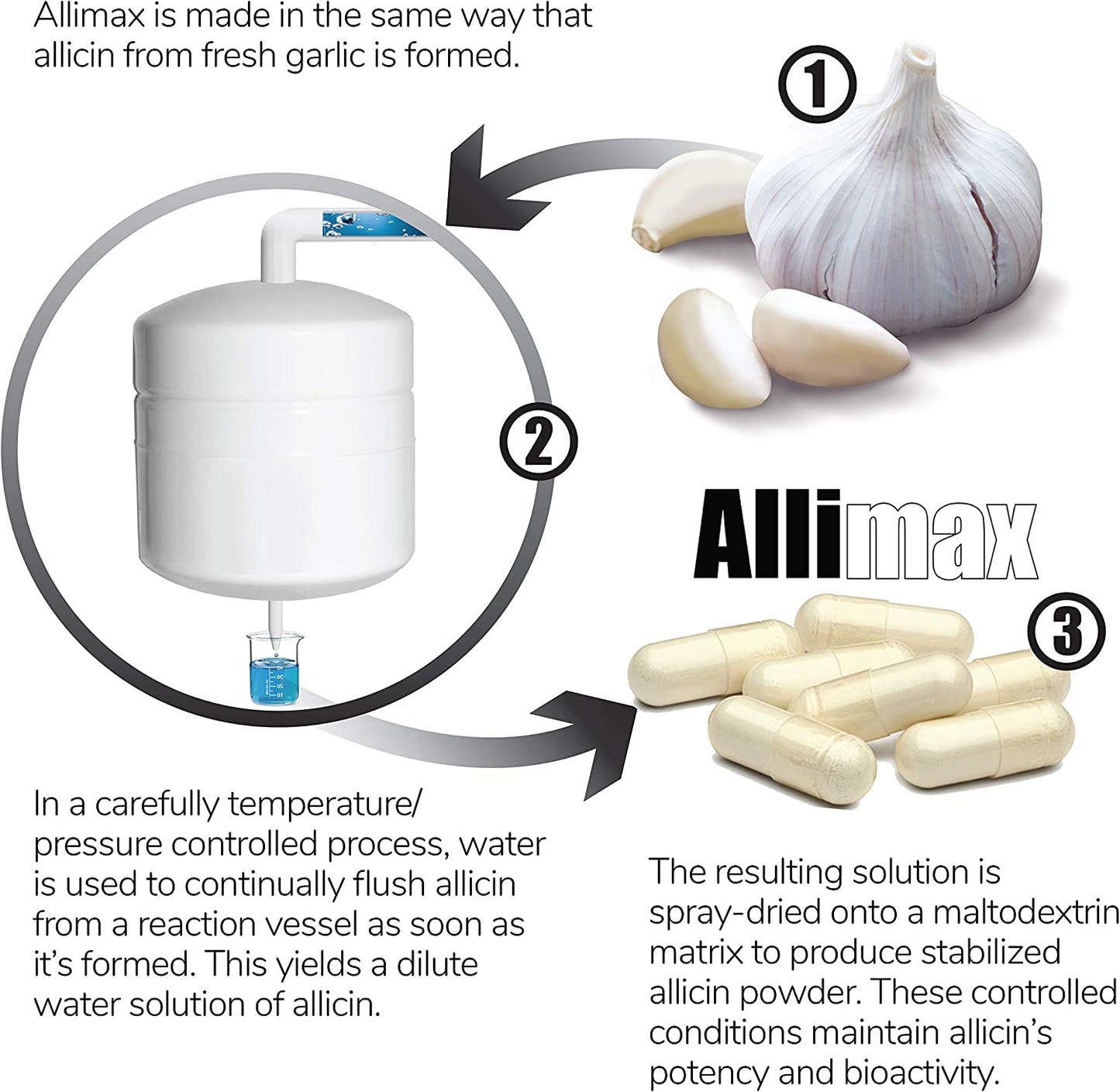ALLIMAX 180mg 90 Capsules | Stabilized Allicin Garlic for Immune Support