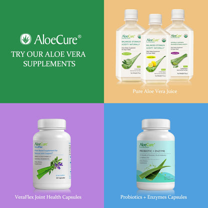 AloeCure USDA Organic Aloe Vera Juice – Grape Flavor, 16.7oz x 2 Bottles | Digestive & Immune Support
