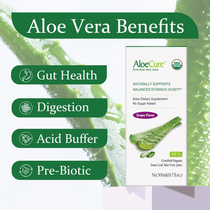 AloeCure USDA Organic Aloe Vera Juice – Grape Flavor, 16.7oz x 2 Bottles | Digestive & Immune Support