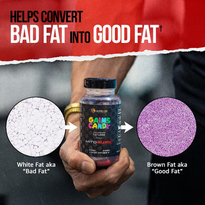 ALPHA LION Gains Candy MitoBurn – Weight Loss, Appetite Suppressant, Keto-Friendly, 60 Capsules